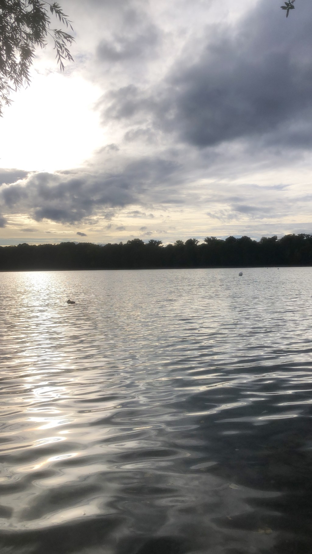 The Same Water